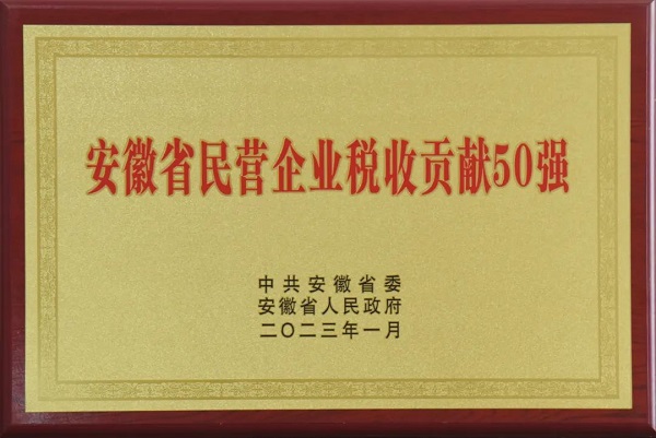 2022年度安徽省民营企业税收贡献50强